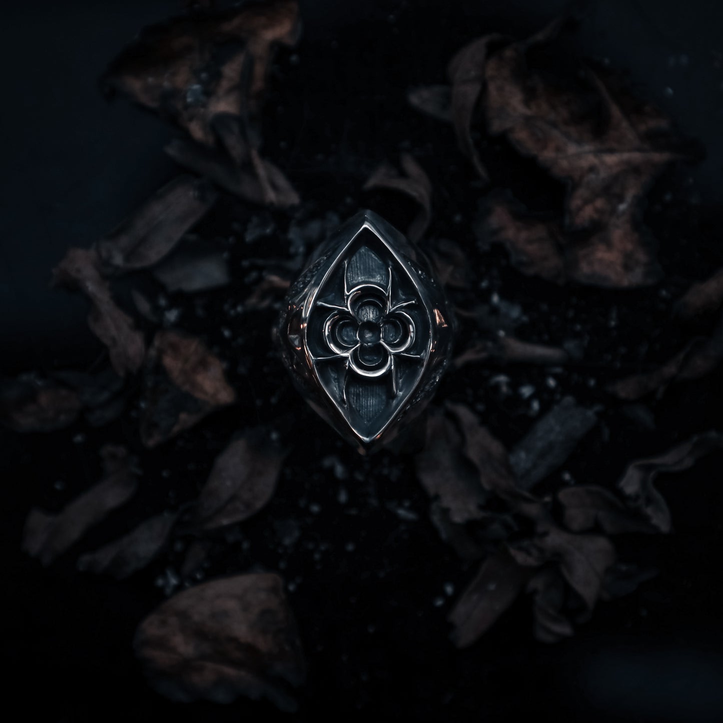 "𝐆𝐨𝐭𝐡𝐢𝐜" - Mercy