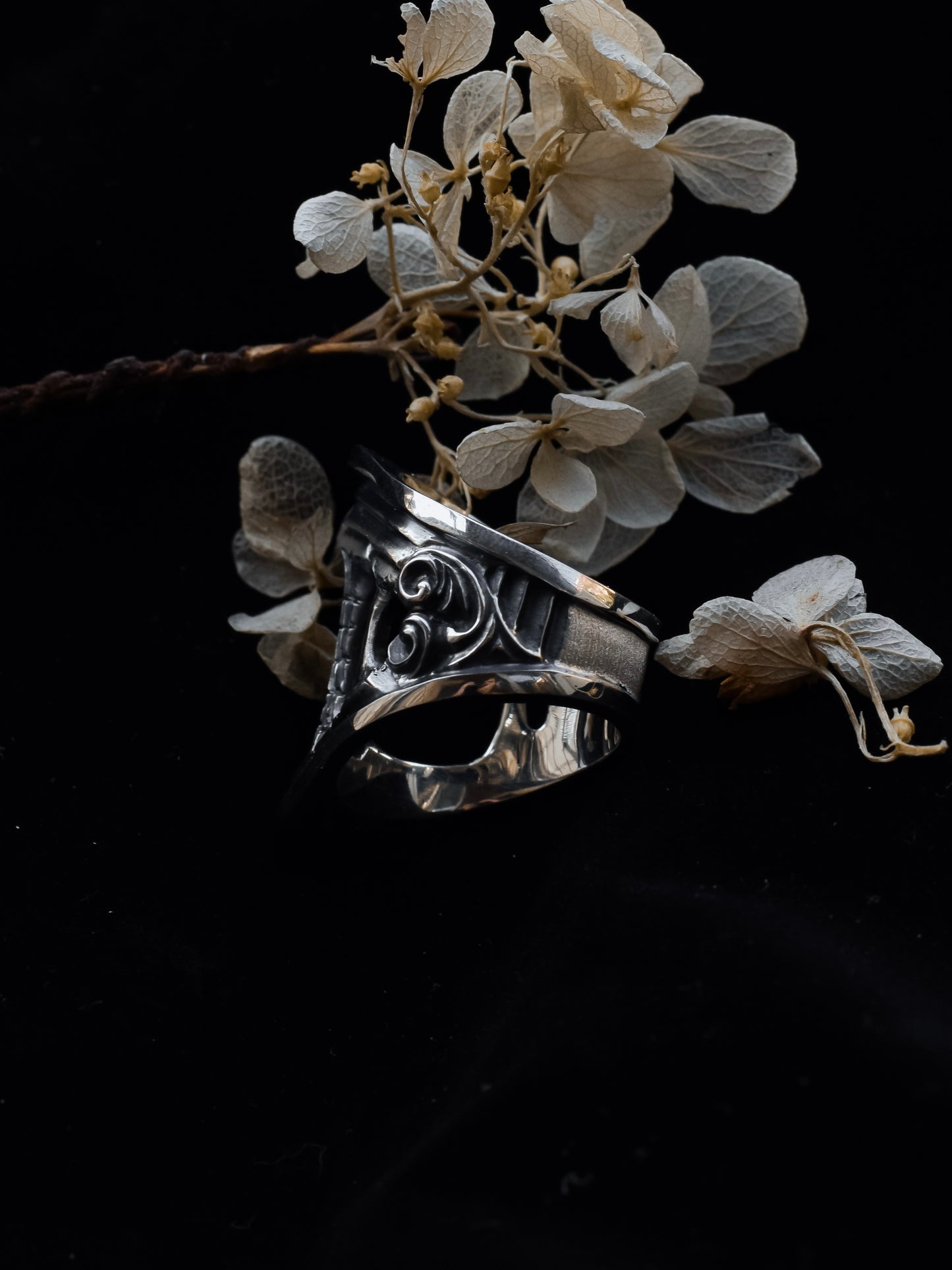 "𝐏𝐚𝐫𝐭𝐡𝐞𝐧𝐨𝐧 𝐈𝐈"