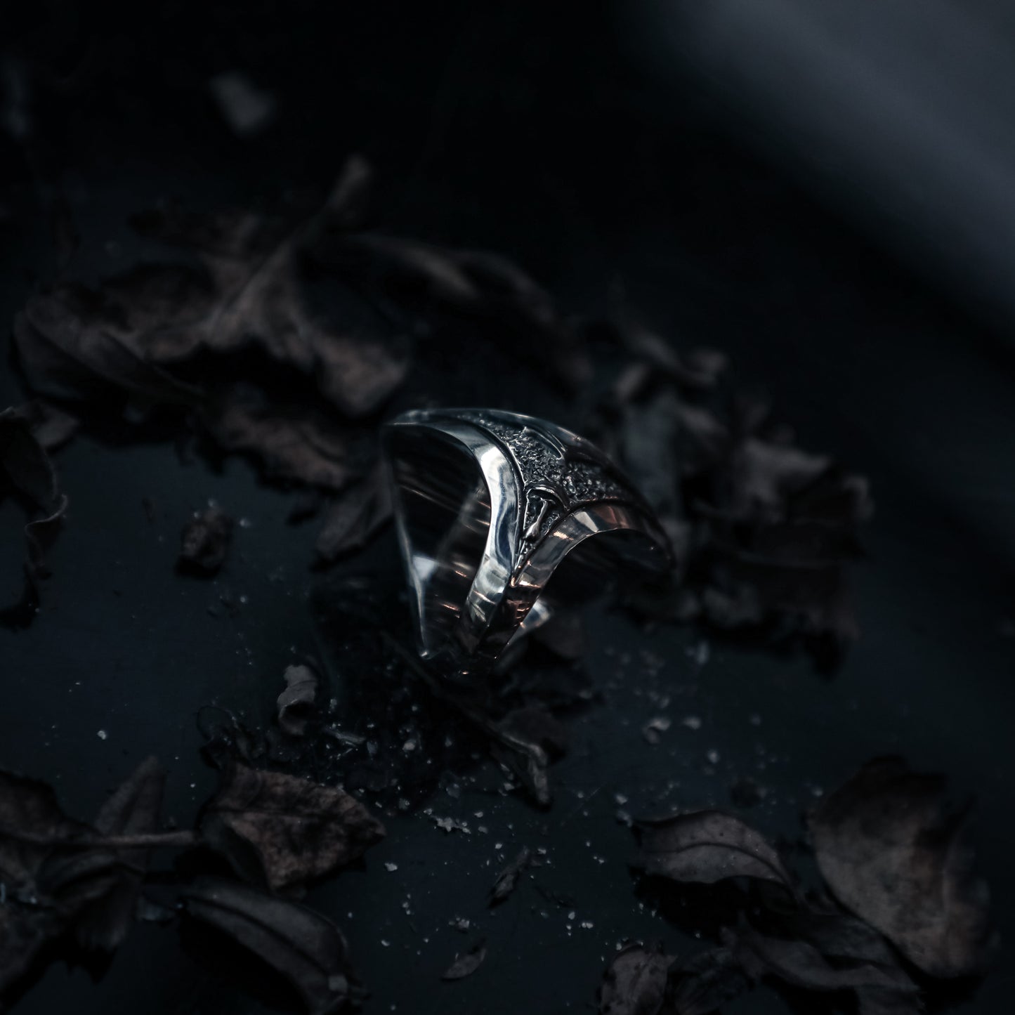 "𝐆𝐨𝐭𝐡𝐢𝐜" - Mercy