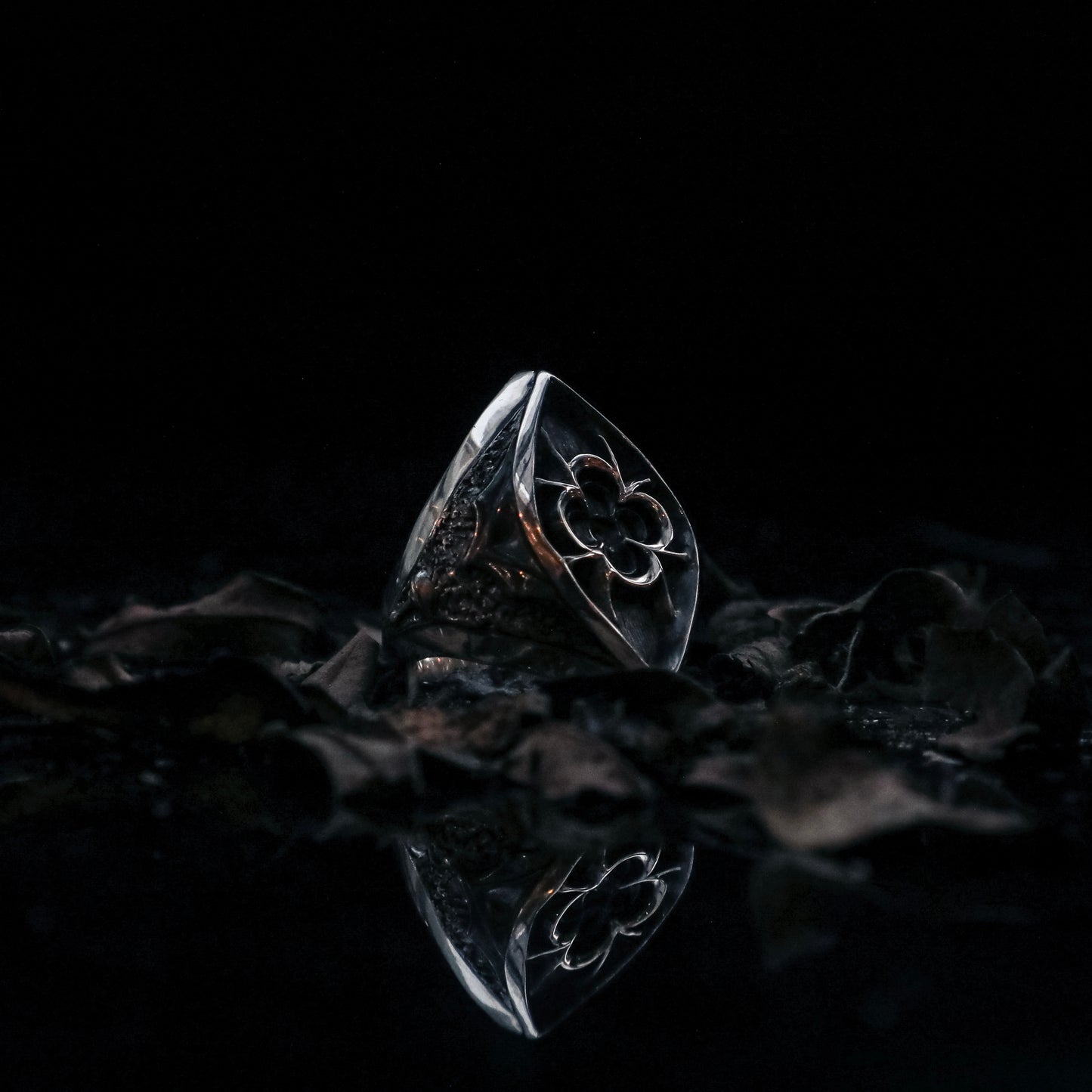 "𝐆𝐨𝐭𝐡𝐢𝐜" - Mercy