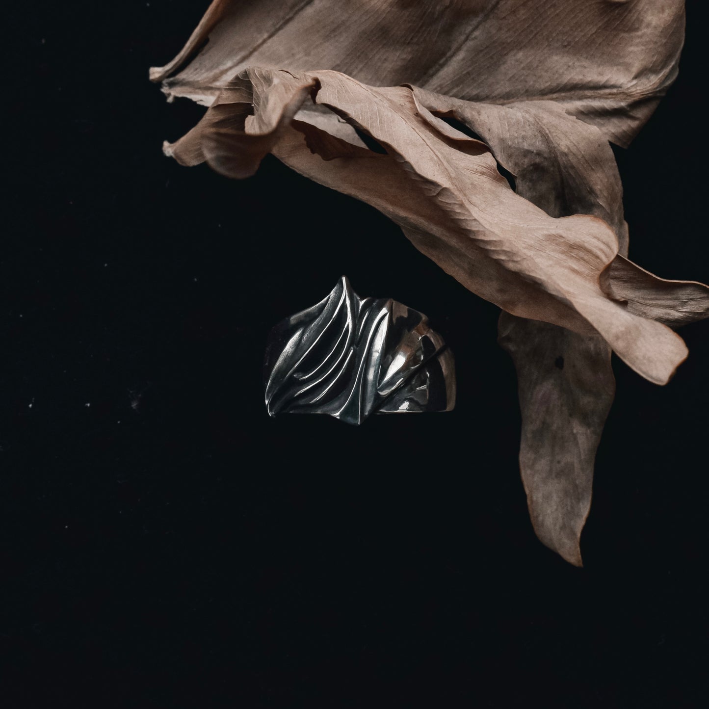"𝐑𝐞𝐭𝐫𝐨" 2025